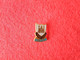 Petite Broche SPORT FOOTBALL CLUB Métal Cuivré émaillé WEST HAM UNITED Vintage  (bazarcollect28) - Brochen