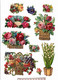 Delcampe - Lot 60 Découpis Gaufrés Ou Non Fleurs Fruits Roses Marguerites Muguet...1900 état Très Bon Voir Photos Recto Verso - Flowers