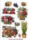 Delcampe - Lot 60 Découpis Gaufrés Ou Non Fleurs Fruits Roses Marguerites Muguet...1900 état Très Bon Voir Photos Recto Verso - Fiori