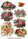 Delcampe - Lot 60 Découpis Gaufrés Ou Non Fleurs Fruits Roses Marguerites Muguet...1900 état Très Bon Voir Photos Recto Verso - Flores