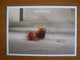 Entier Postal Carte Publicitaire Nespresso - Pseudo-entiers Privés