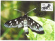 BULGARIE. N°4004-7 De 2004 Sur 4 Cartes Maximum. Papillons. - Butterflies