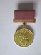 USSR/Russia Medal For Success In The National Economy Of The USSR 70,length=43 Mm,diam=23 Mm - Russia