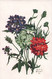 CPA Illustrateur Bert - Fleurs - Bouquet - Verveine - Color Paris - Bouret, Germaine