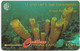 St. Vincent - C&W (GPT) - Yellow Tube Sponge, 52CSVF, 1996, 9.900ex, Used - San Vicente Y Las Granadinas