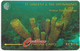 St. Vincent - C&W (GPT) - Yellow Tube Sponge, 101CSVA, 1996, 10.000ex, Used - Saint-Vincent-et-les-Grenadines