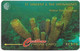 St. Vincent - C&W (GPT) - Yellow Tube Sponge, 101CSVA, 1996, 10.000ex, Used - St. Vincent & The Grenadines