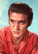 ELVIS PRESLEY   Le  KING   Chanteur   Musicien  Rock            0543 - Chanteurs & Musiciens