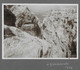 SUISSE / GRINDENWALD / GLACIER INFERIEUR / 2  TRES BELLE ET GRANDE PHOTO ORIGINALE / 1929 - Wald