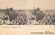 Delcampe - Cartes Stéréos.      Lot De   7 Cartes Algérie Dont    Biskra Alger    (voir Scan) - Stereoscope Cards