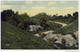 ALBANY, NY - In Beaver Park, Panorama - Albany