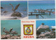 Greetings From Aruba - A Collection Of Pelicans - (Antillen) - Aruba