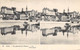 Delcampe - Cartes Stéréos.   6  Cartes   Pau. Eaux Bonnes   (voir Scan) - Stereoscope Cards