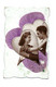 Couple En Médaillon,coeur Violet, - Couples