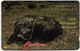 St. Vincent - C&W (GPT) - Carib Petroglyph, 3CSVB, 1991, 18.250ex, Used - St. Vincent & The Grenadines