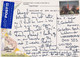 NEW ZEALAND 1995 POSTCARD TO UK. - Lettres & Documents