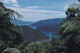 NEW ZEALAND 1996 POSTCARD TO UK. - Covers & Documents