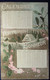 Petit Calendrier CPA Porte Bonheur 1917  Gui Houx Neige ... - Petit Format : 1901-20