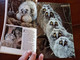 VOYAGER VIEWS JUPITER, LONG-EARED OWLS, HOKKAIDO, UTAH ROCK ART - NATIONAL GEOGRAPHIC Magazine January 1980 VOL 157 No 1 - Altri & Non Classificati