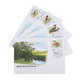 Russia 2022 Fauna Of Russia. Songbirds , Birds, MNH Presentation Pack (**) RARE 1 Set Avaliable Only - Lettres & Documents