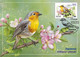 Russia 2022 Fauna Of Russia. Songbirds , Birds, Set Of 4 Maxicards, Maxi Card, Maximum  (**) RARE 1 Set Avaliable Only - Briefe U. Dokumente
