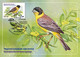 Russia 2022 Fauna Of Russia. Songbirds , Birds, Set Of 4 Maxicards, Maxi Card, Maximum  (**) RARE 1 Set Avaliable Only - Storia Postale