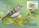 Russia 2022 Fauna Of Russia. Songbirds , Birds, Set Of 4 Maxicards, Maxi Card, Maximum  (**) RARE 1 Set Avaliable Only - Cartas & Documentos