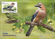 Russia 2022 Fauna Of Russia. Songbirds , Birds, Set Of 4 Maxicards, Maxi Card, Maximum  (**) RARE 1 Set Avaliable Only - Covers & Documents