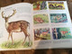 Bunter Kinder Kosmos «Tiere Aus Berg Und Tal» Tolles Antikes Kinderbuch 1976 - Sachbücher