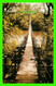 SOURIS, MANITOBA - SUSPENSION BRIDGE, BUILT IN 1904 - SPECTROME COLOR - - Andere & Zonder Classificatie