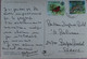 Carte Postale : Seychelles : Grand' Anse, MAHE, Animé, Timbres En 1982 - Seychellen