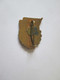 Roumanie Insigne Congres Syndical 1966,d=25x18 Mm/Romania Trade Union Congress Badge 1966,s=25x18 Mm - Associations