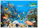 (1 K 21)  Polynésie Française / French Polynesia (posted To Mainland France) Fish / Poissons - Polynésie Française