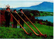 CPSM  * Follklore Suisse * Alphornblaserfamilie Christen Hergiswil.Blick Auf Vierwaldstattersee Und Rigi - Hergiswil