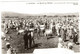 Carte Photo : Algérie :  GUELMA  : Le Marché Aux Bestiaux - N° 6 : Carte Photo Moderne : Grand Format - Guelma