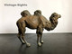 Bactrian Camel / Kamel (Vintage German LINEOL Figure) - Otros & Sin Clasificación