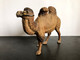 Bactrian Camel / Kamel*5 (Vintage German LINEOL/ELASTOLIN Figure) - Other & Unclassified