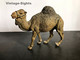 Dromedary / Camel (Vintage German LINEOL Figure) - Other & Unclassified