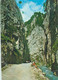 Romania Carpathian Mountains Narrows Cheile Dambovicioarei 1980 Postcard - Romania