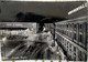 Cartolina Roma, Stazione Termini (10) FG VG 1953 - Stazione Termini