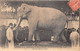 L'ELEPHANT- FRITZ- PENSIONNAIRE DU CIR BARNUM, MORT A TOUR LE 11 JUIN 1902 - OFFERT AU MUSEE DE TOURS - Olifanten