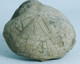 Delcampe - Fossil - Spatangus - Echinide (Francia) - Lot. 872 - Fossilien