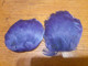 PLUME à CHAPEAU COROLLE BLEU 11 Cms - Headdresses, Hats, Caps