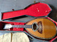 Delcampe - Mandoline Plate Paolo Stradini Napoli - Musical Instruments