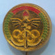 Olympiade Olympic - Arabic, Military, Vintage Pin, Badge, Abzeichen - Jeux Olympiques