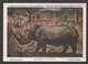 Le Rhinoceros Blanc / Witte Neushoorn - Musée Royal D'histoire Naturelle De Belgique - Rinoceronte