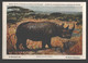 Le Rhinoceros Noir / Neushoorn - Musée Royal D'histoire Naturelle De Belgique - Rinoceronte