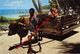 Seychelles - Ox Cart - La Digue - Seychelles