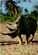 (1 K 56) Rhinocéros (from Africa) - Rhinoceros