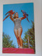 D190774    US -  LAKE GEORGE -  Adiron Dacks - Animal Land - Parrots,   Swimsuit Woman - Lake George